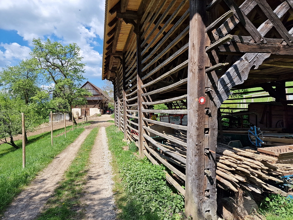 Slika je vidna v Google Chromu.