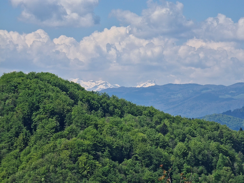 Slika je vidna v Google Chromu.