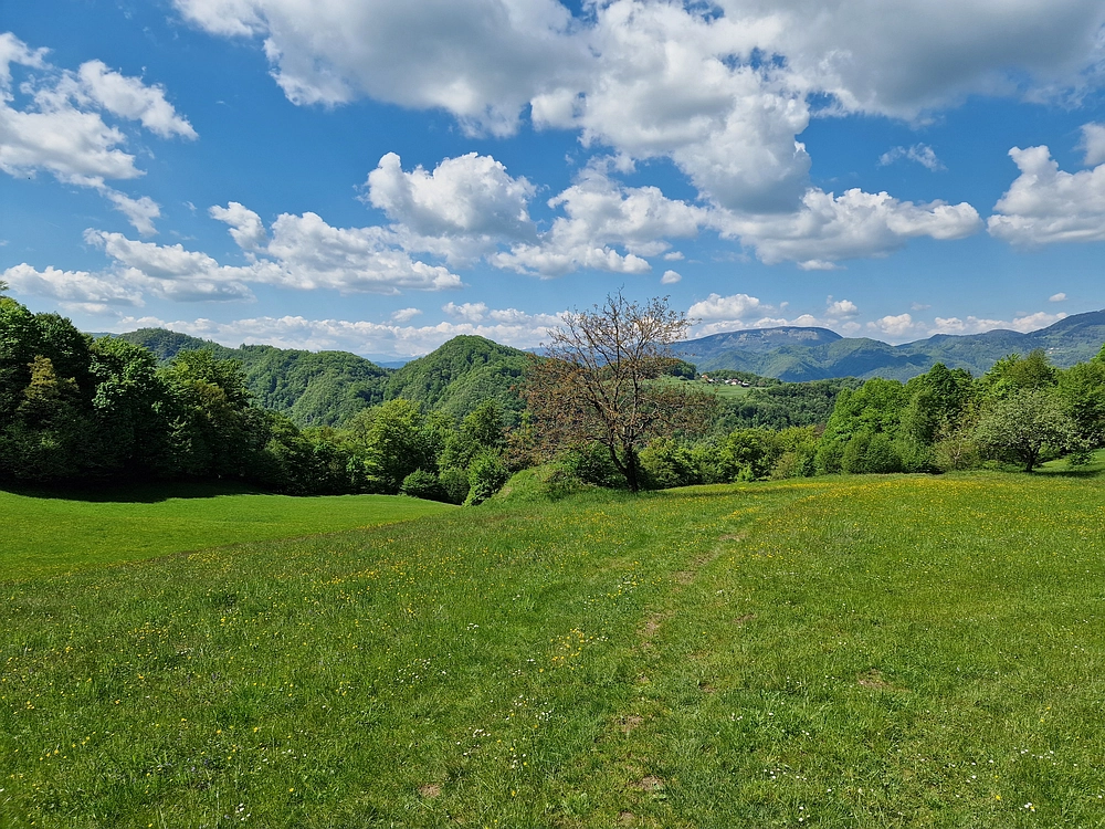Slika je vidna v Google Chromu.