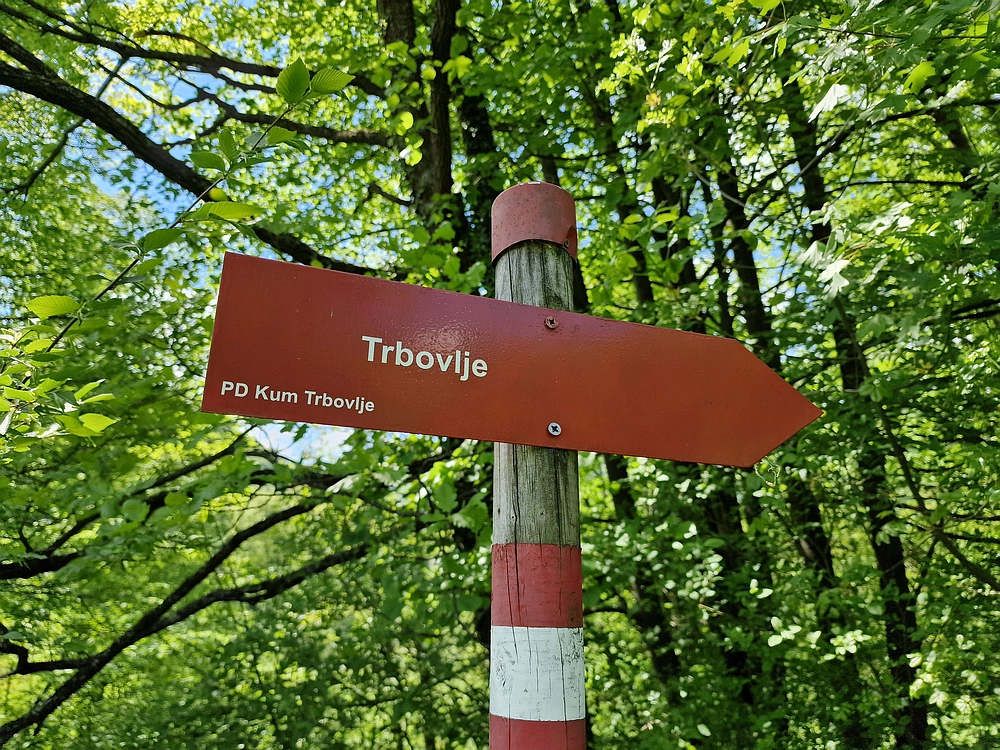 Slika je vidna v Google Chromu.