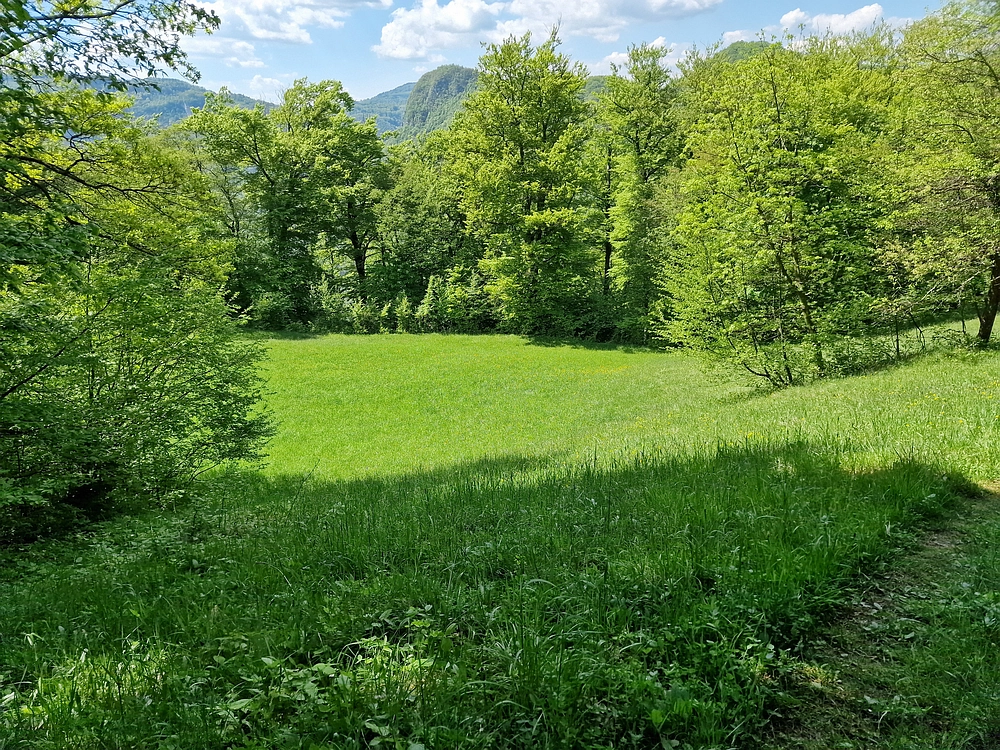 Slika je vidna v Google Chromu.