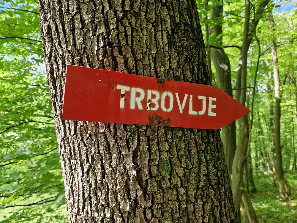 Slika je vidna v Google Chromu.