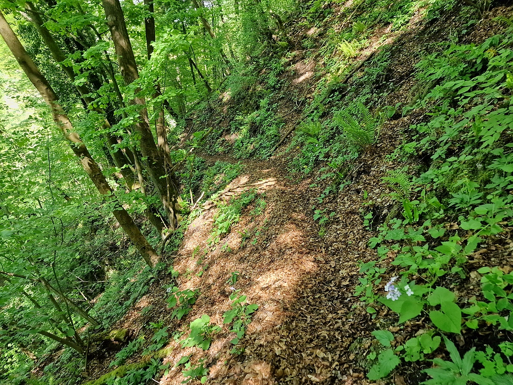 Slika je vidna v Google Chromu.