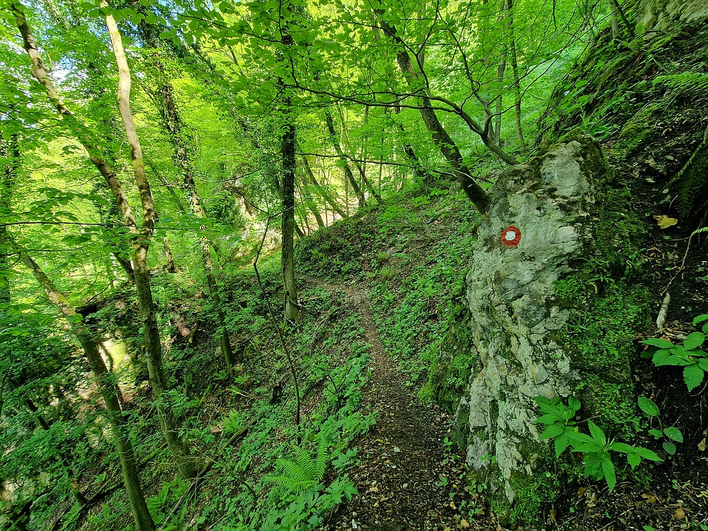 Slika je vidna v Google Chromu.