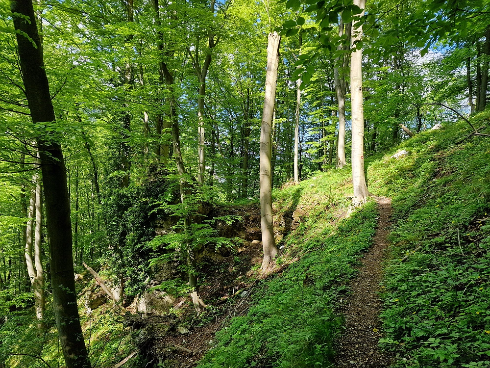 Slika je vidna v Google Chromu.