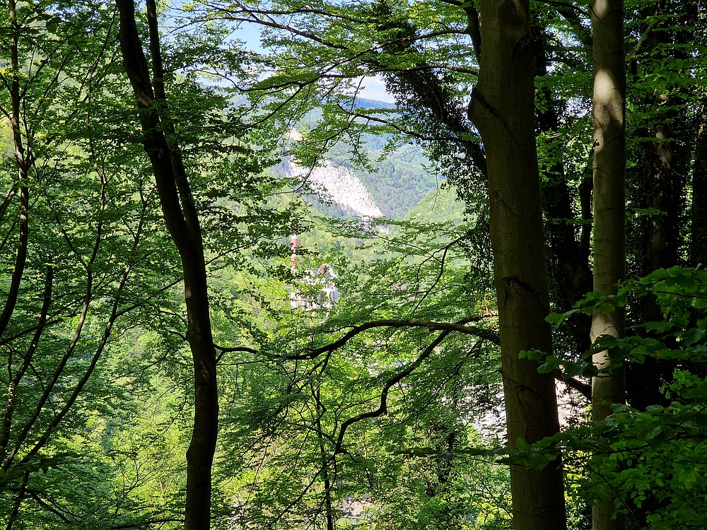 Slika je vidna v Google Chromu.