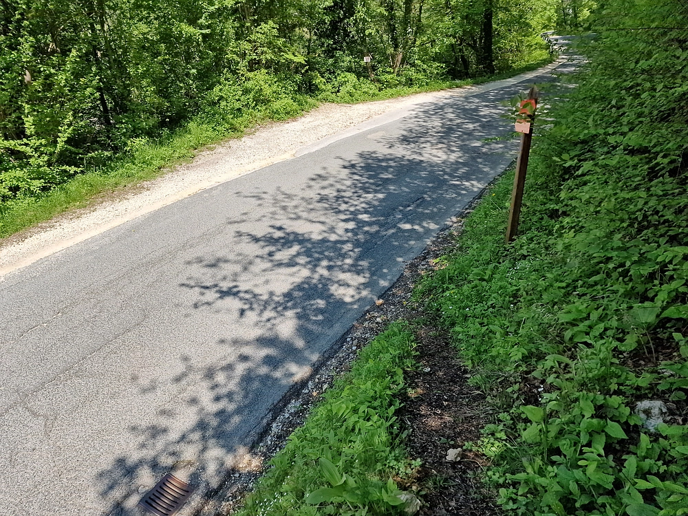 Slika je vidna v Google Chromu.