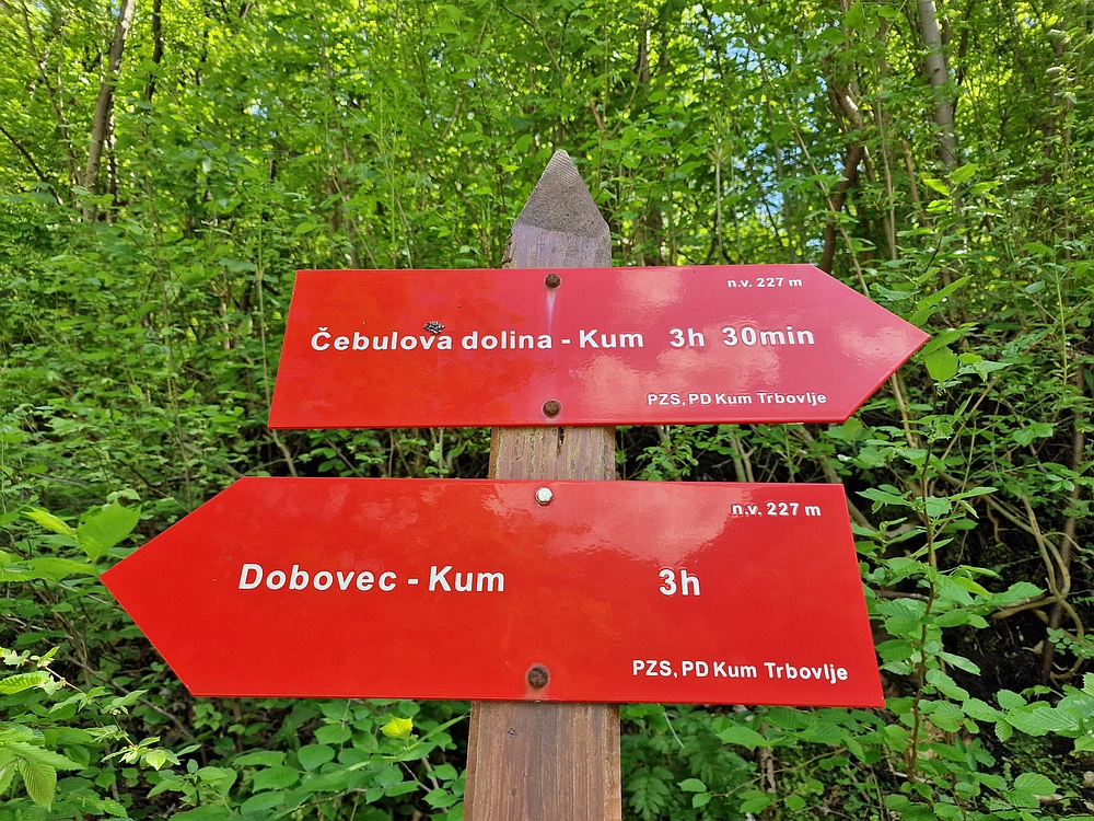 Slika je vidna v Google Chromu.