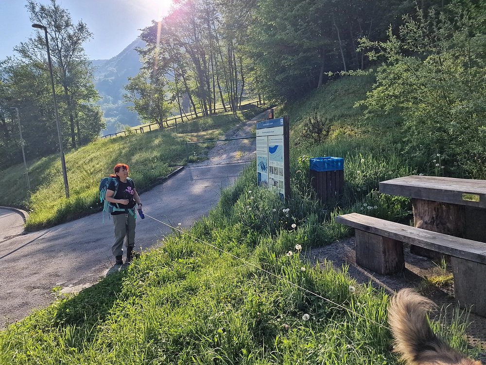 Slika je vidna v Google Chromu.