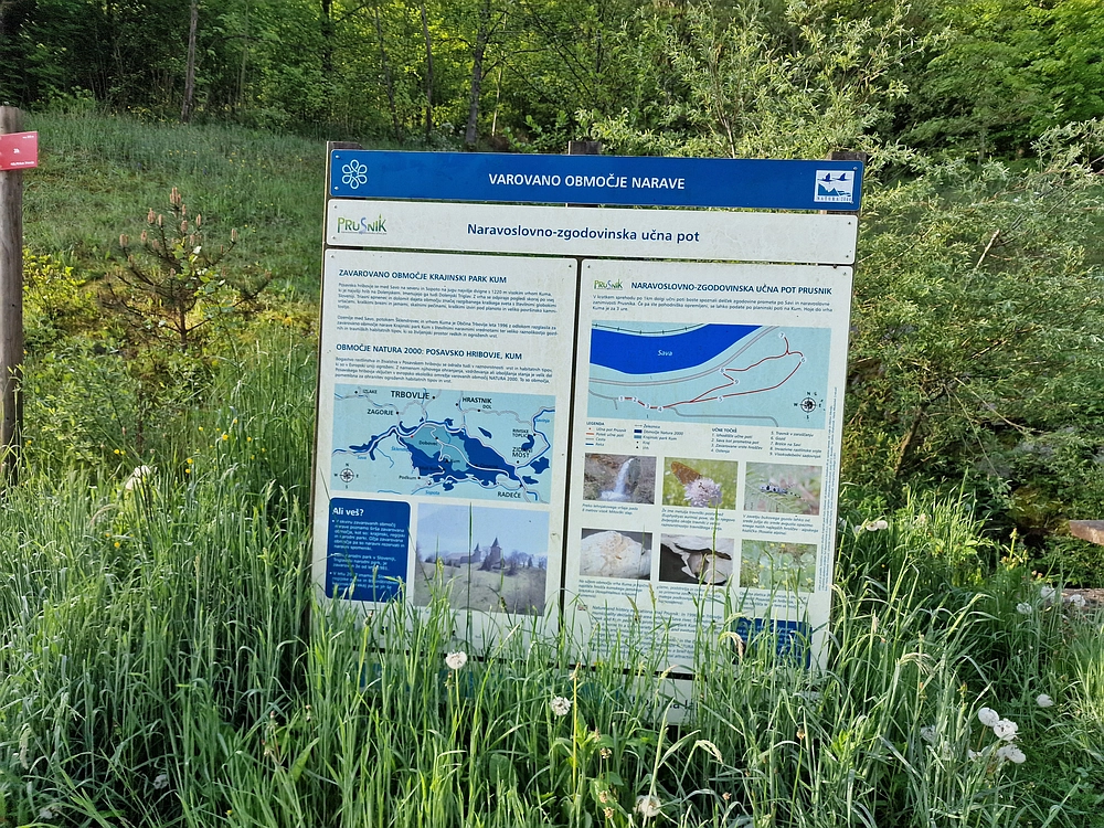 Slika je vidna v Google Chromu.