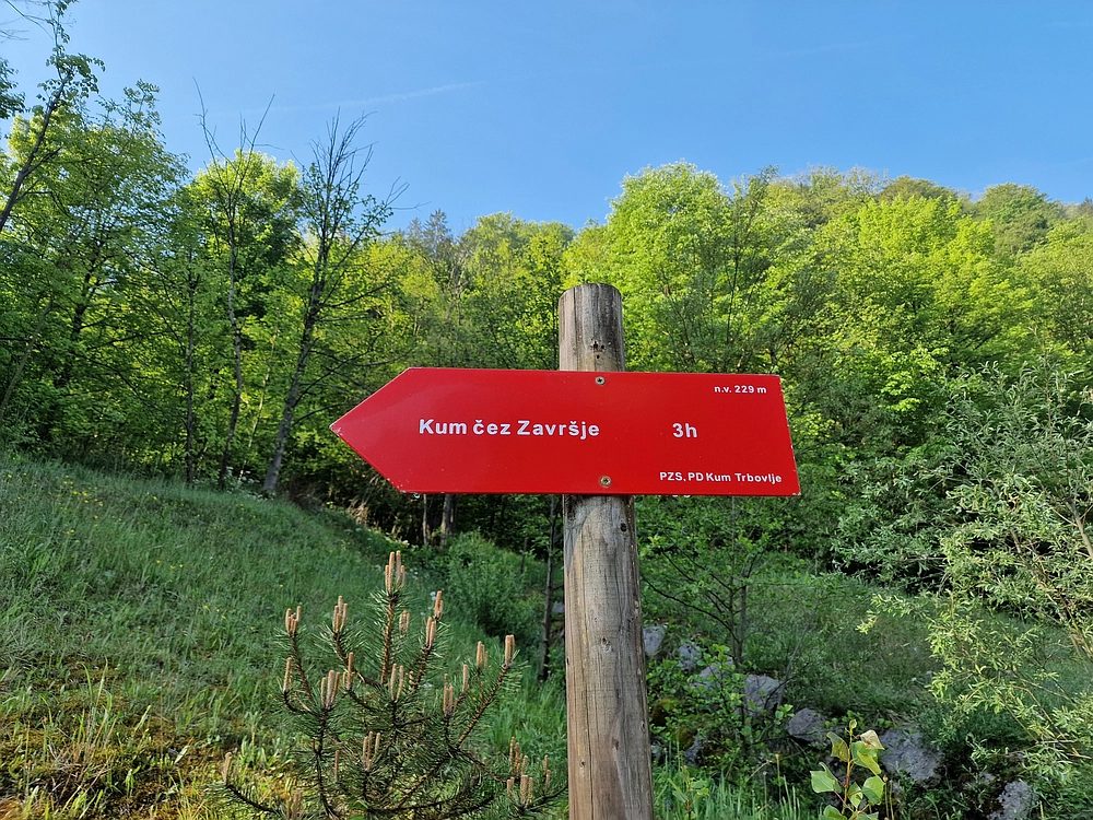 Slika je vidna v Google Chromu.