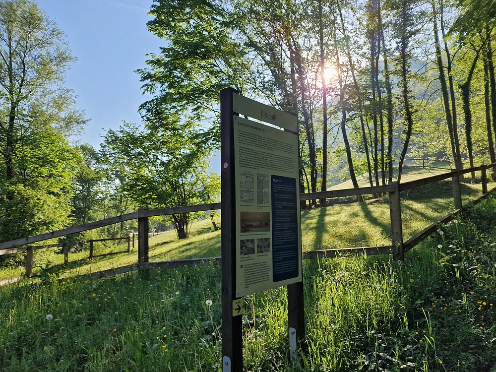 Slika je vidna v Google Chromu.