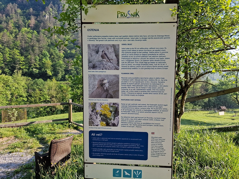 Slika je vidna v Google Chromu.