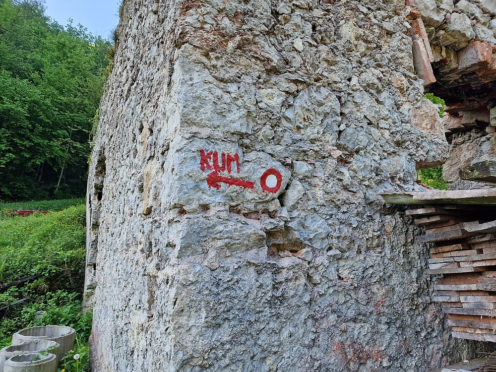 Slika je vidna v Google Chromu.