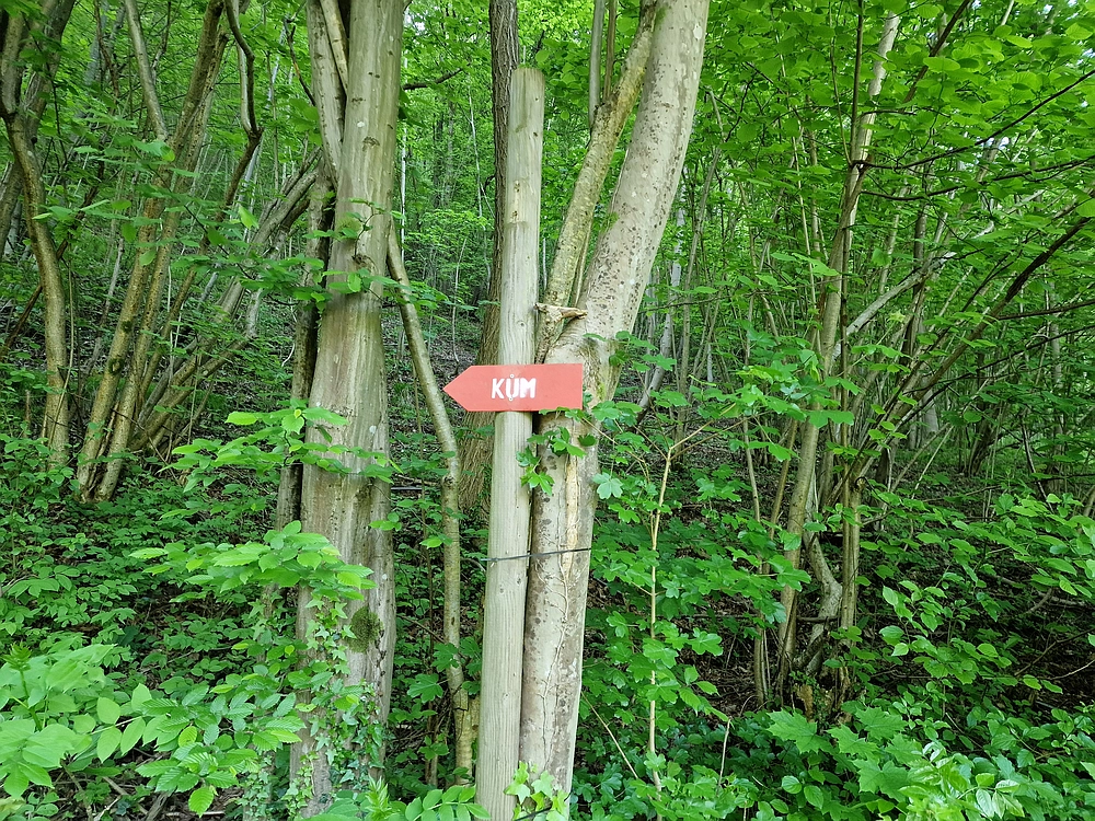 Slika je vidna v Google Chromu.