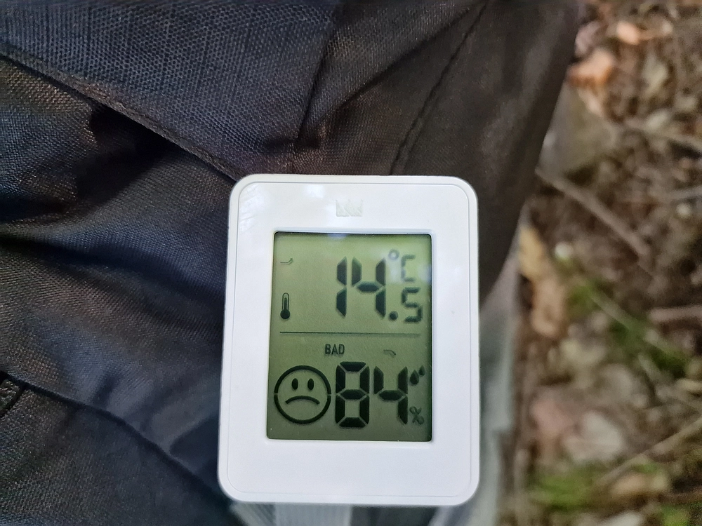 Slika je vidna v Google Chromu.