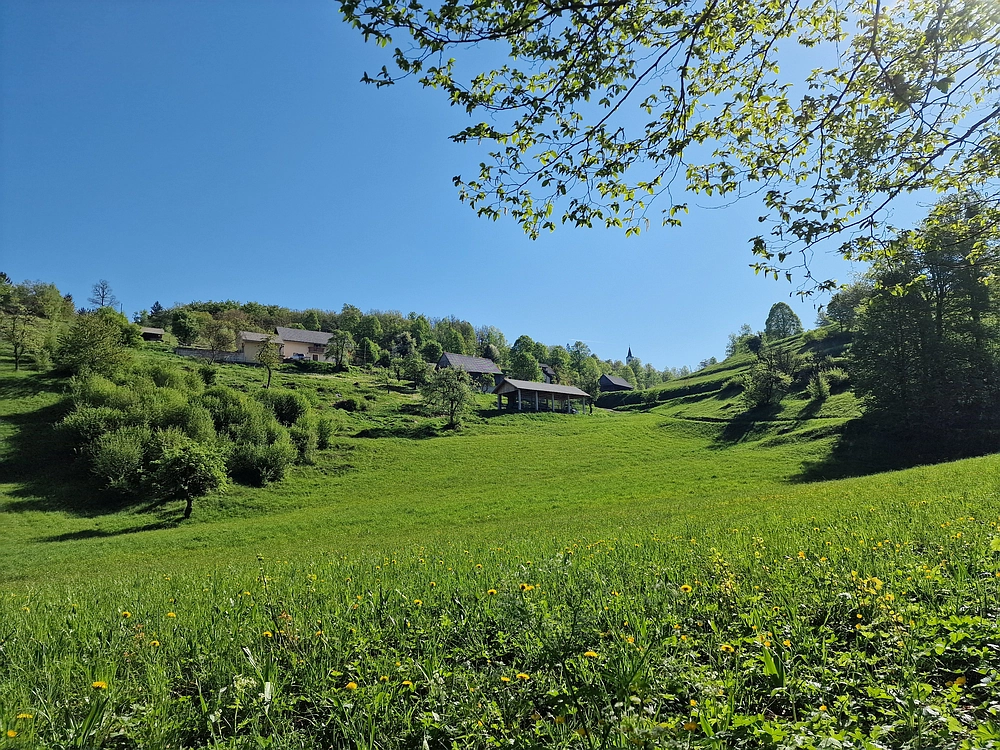 Slika je vidna v Google Chromu.