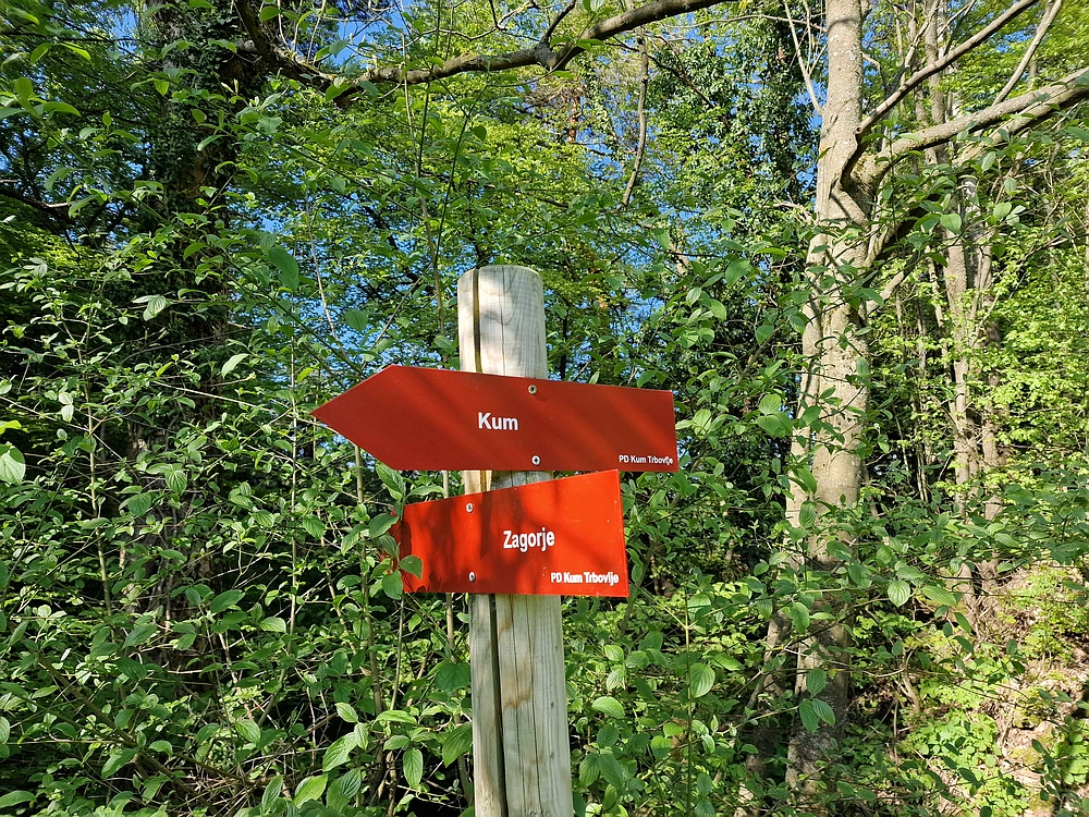 Slika je vidna v Google Chromu.