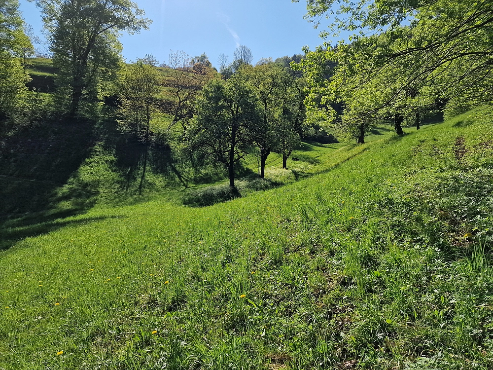 Slika je vidna v Google Chromu.