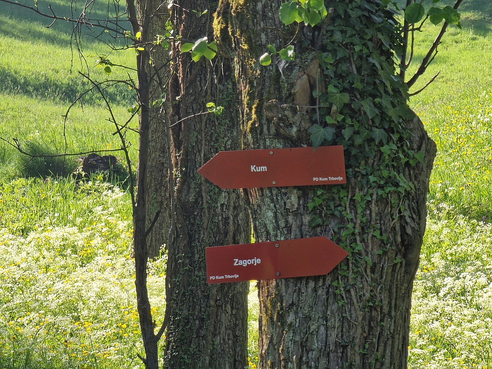 Slika je vidna v Google Chromu.