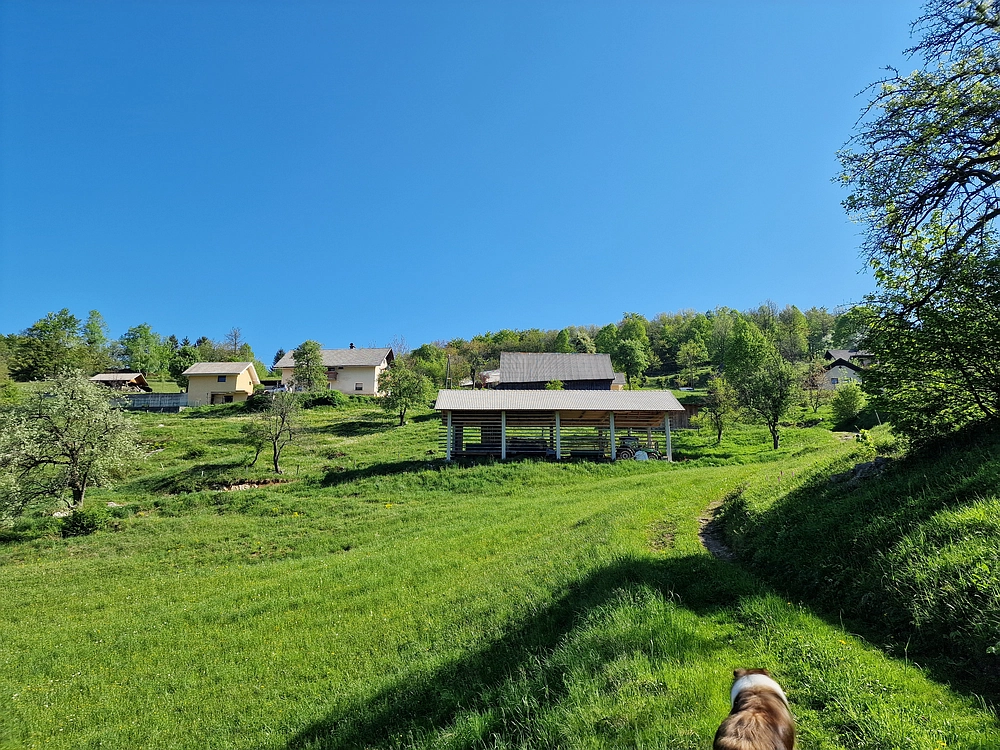 Slika je vidna v Google Chromu.