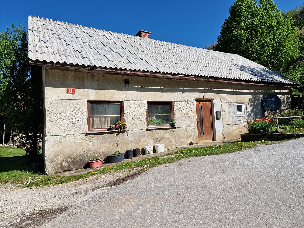 Slika je vidna v Google Chromu.