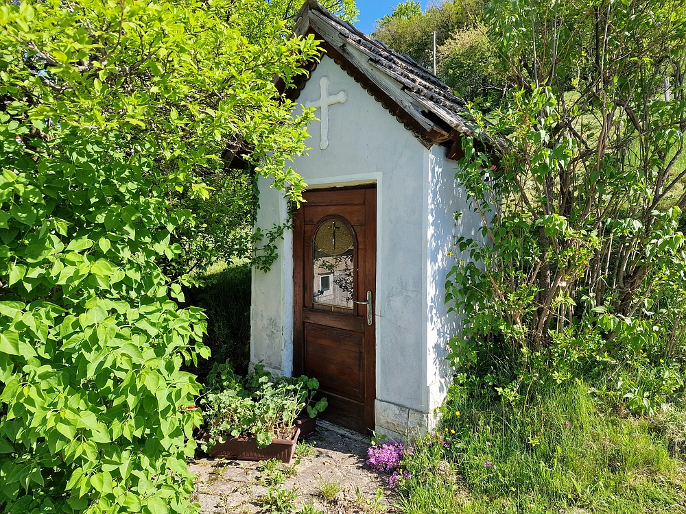 Slika je vidna v Google Chromu.