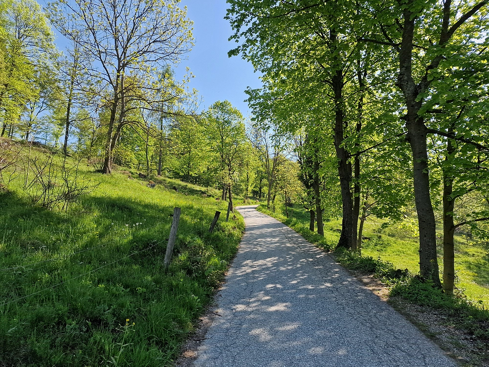 Slika je vidna v Google Chromu.