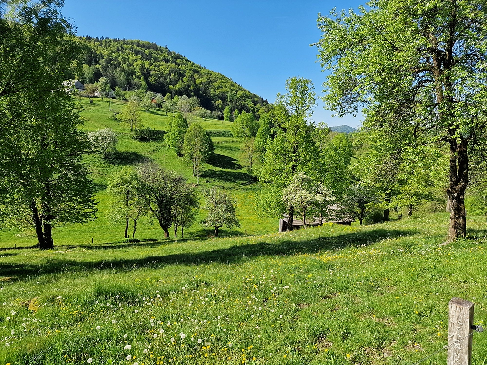 Slika je vidna v Google Chromu.
