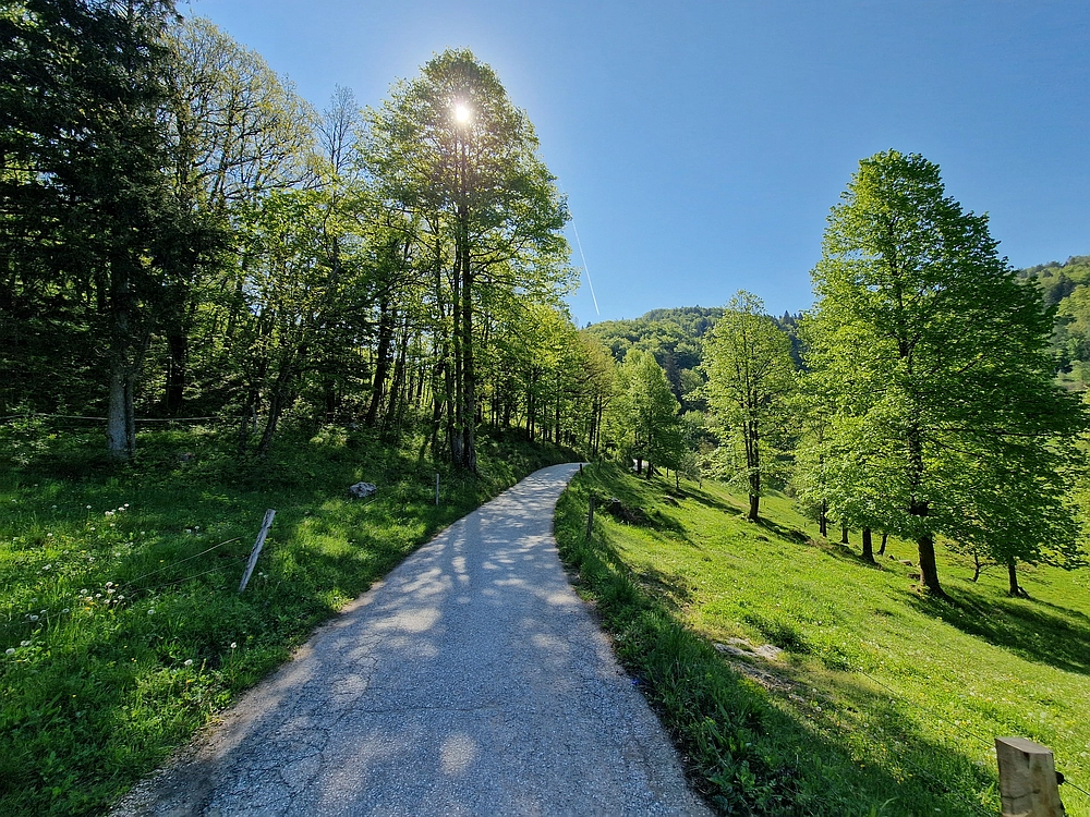 Slika je vidna v Google Chromu.
