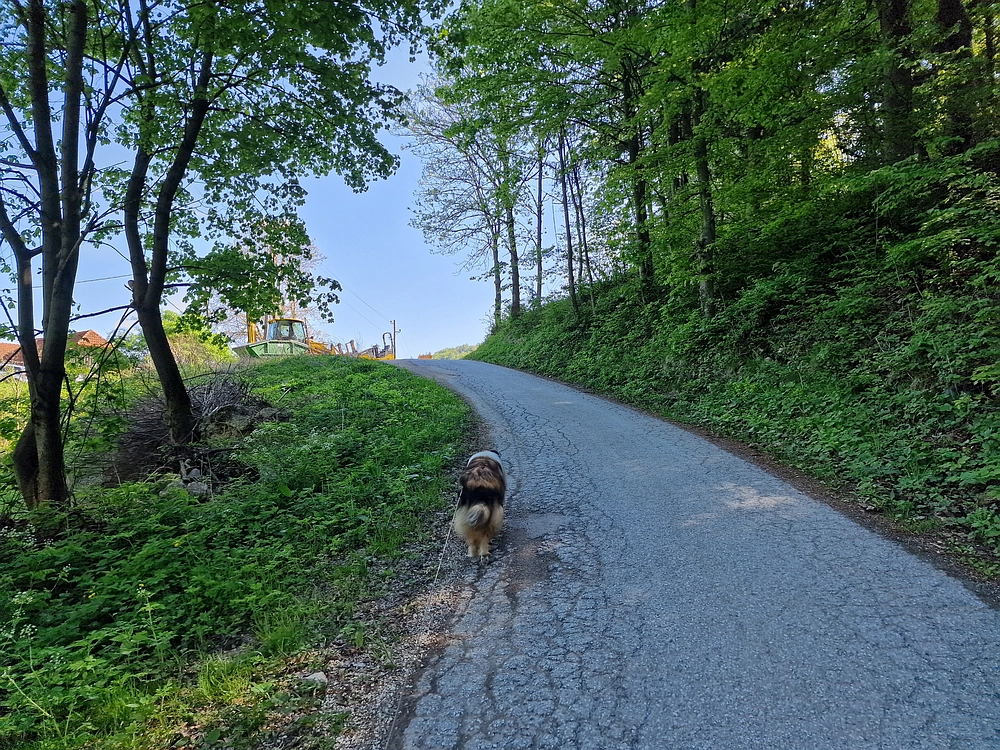 Slika je vidna v Google Chromu.