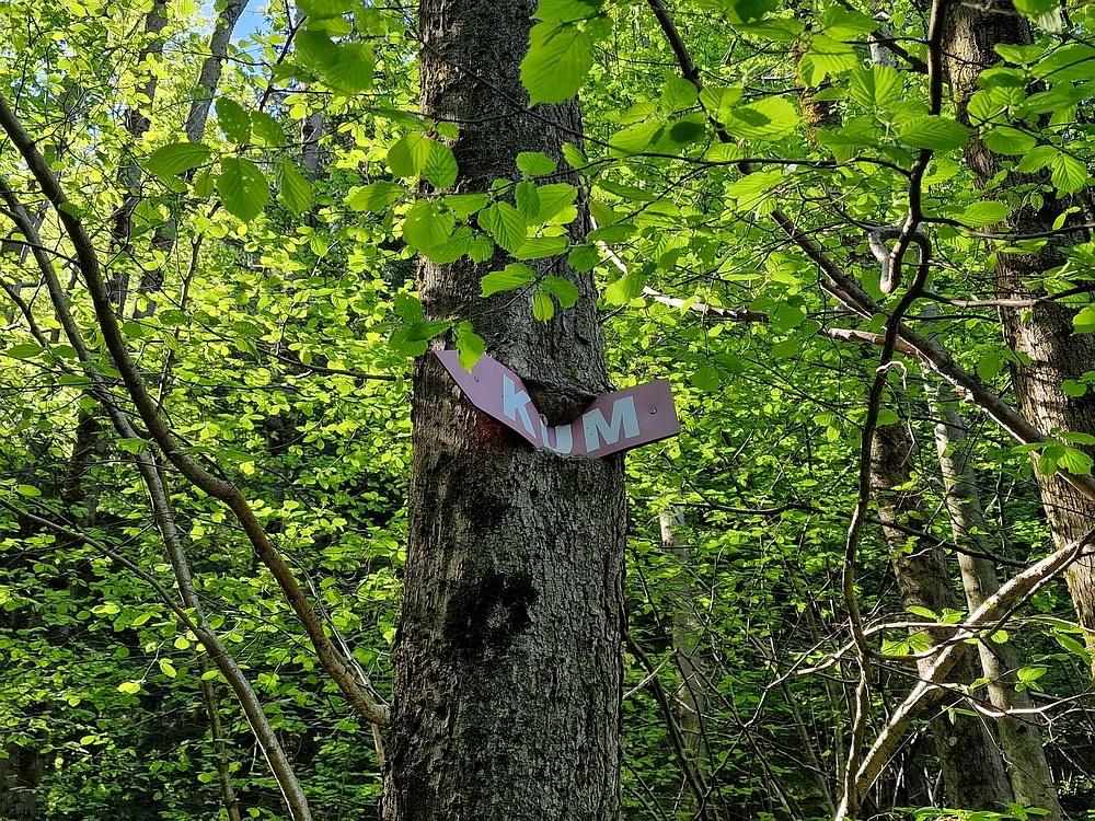 Slika je vidna v Google Chromu.