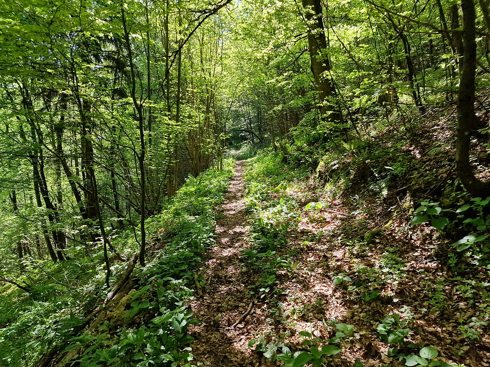 Slika je vidna v Google Chromu.