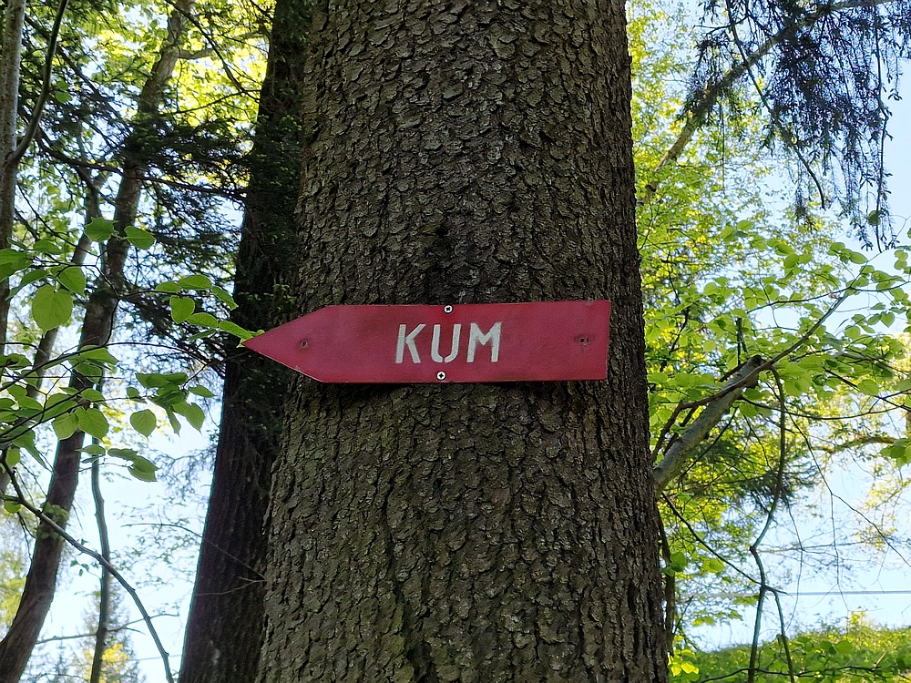 Slika je vidna v Google Chromu.