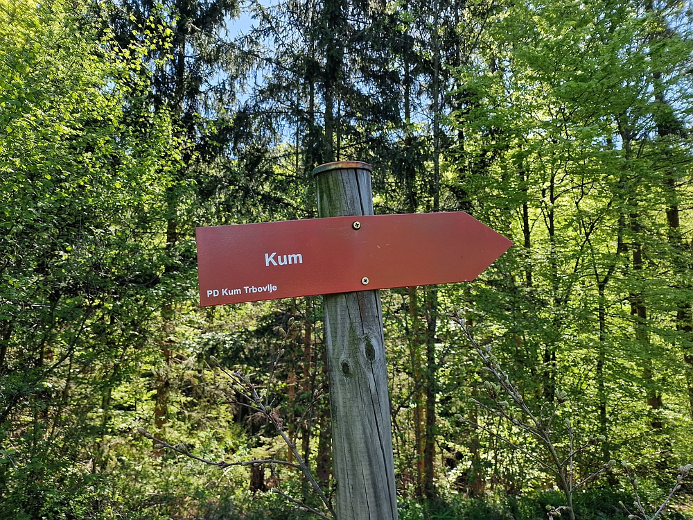 Slika je vidna v Google Chromu.