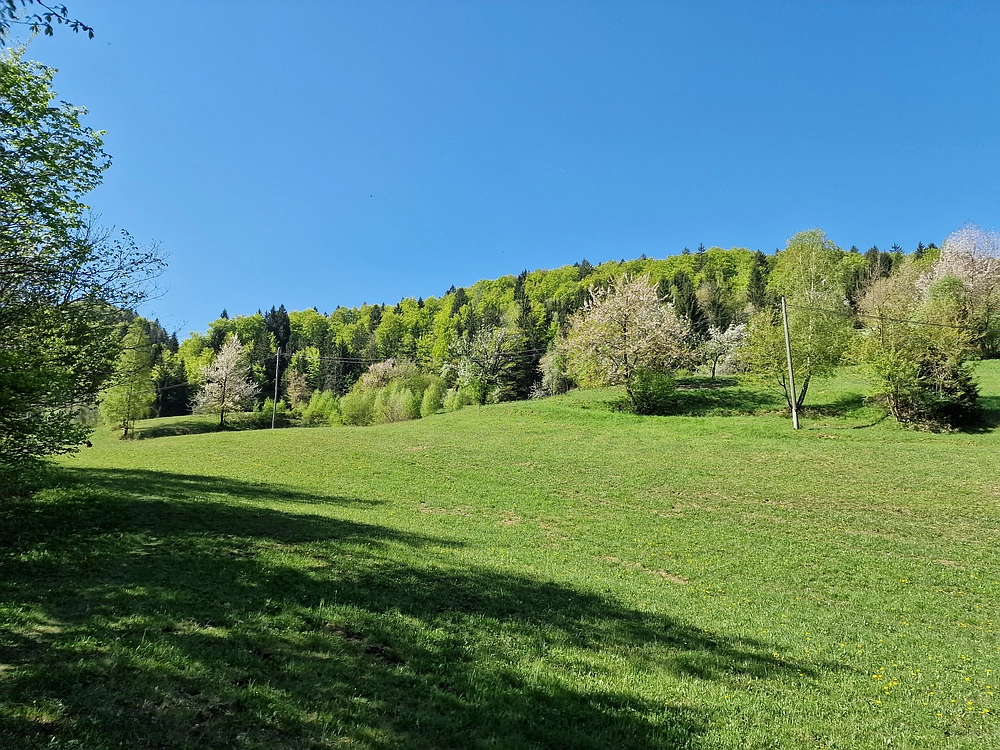 Slika je vidna v Google Chromu.