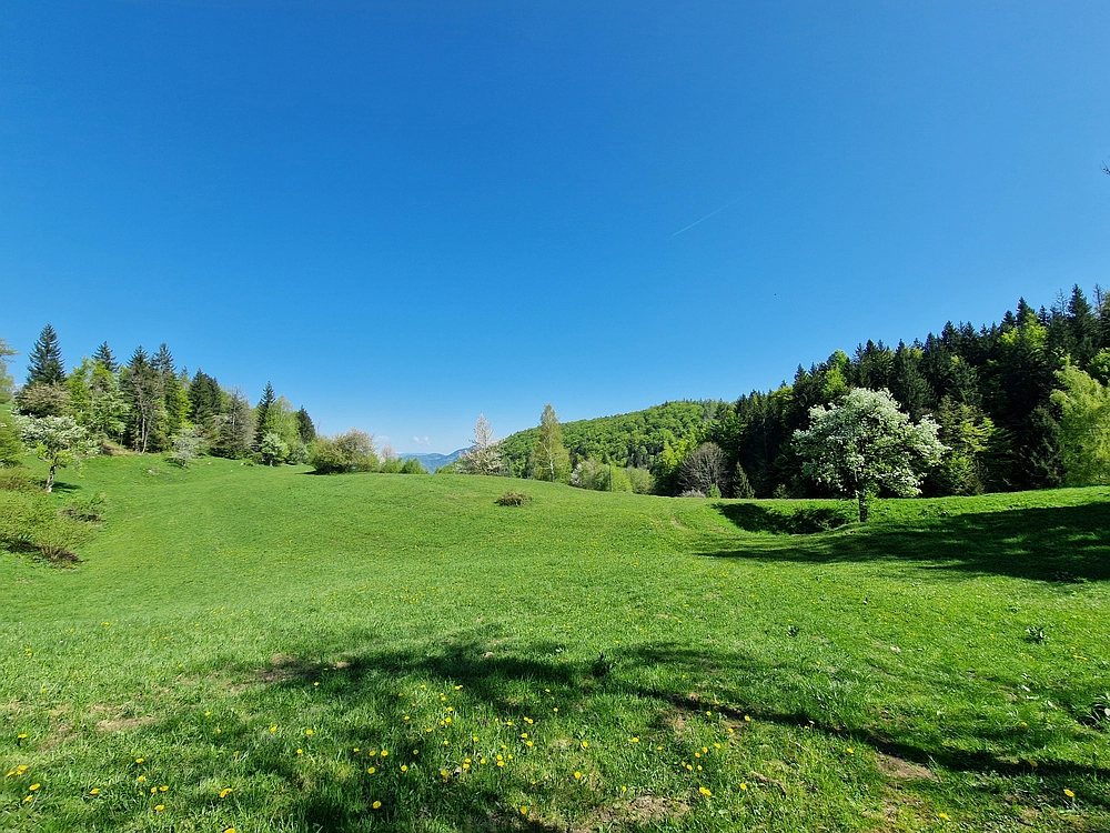 Slika je vidna v Google Chromu.
