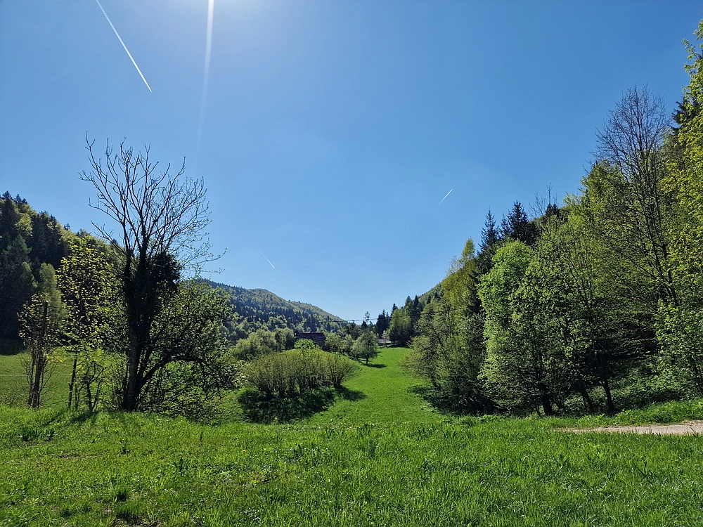Slika je vidna v Google Chromu.