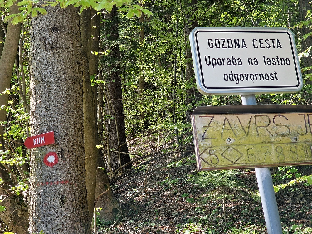 Slika je vidna v Google Chromu.