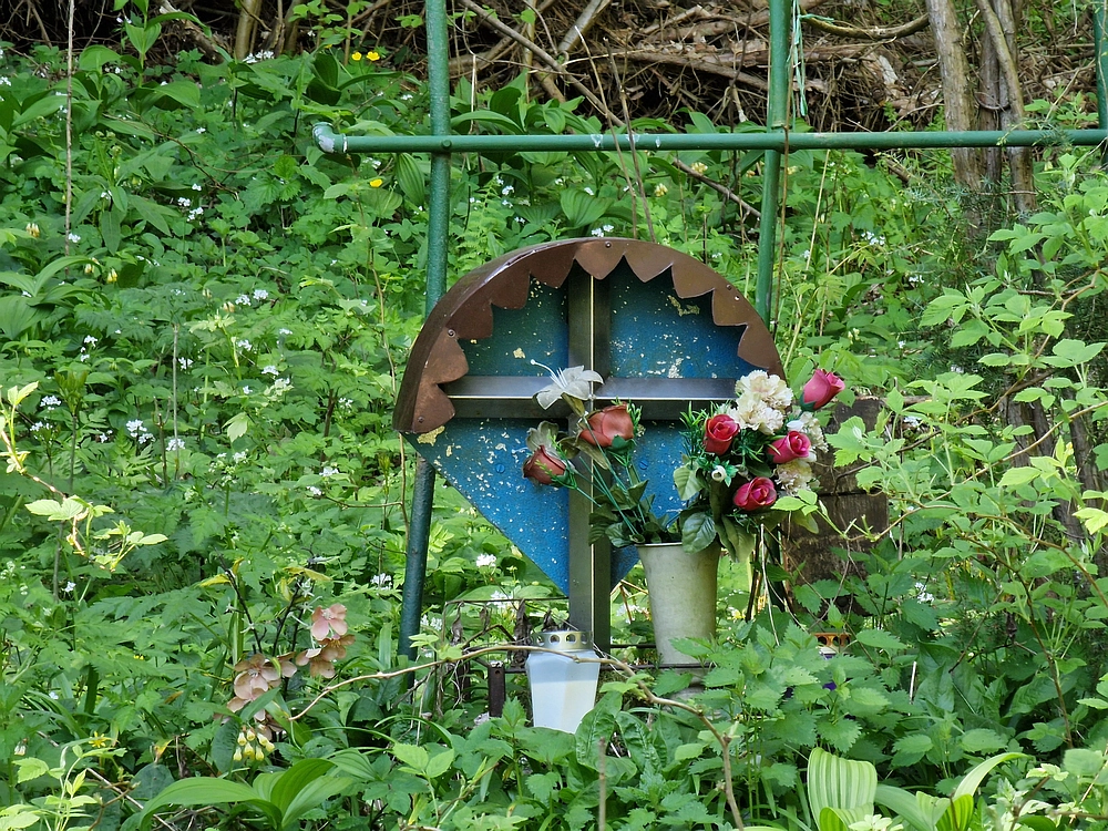 Slika je vidna v Google Chromu.