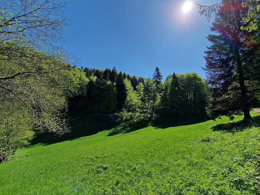 Slika je vidna v Google Chromu.