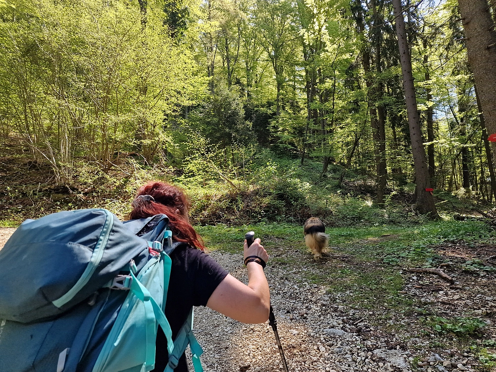 Slika je vidna v Google Chromu.