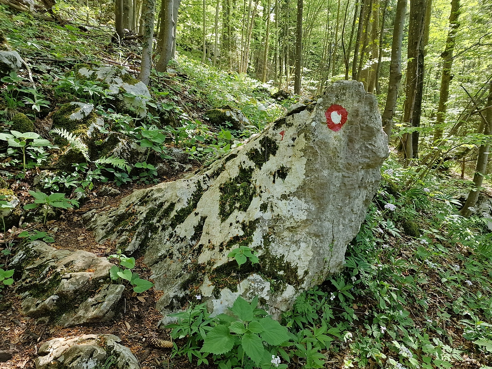 Slika je vidna v Google Chromu.