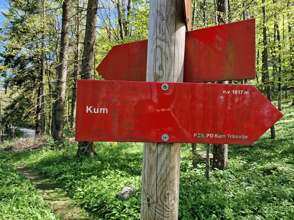 Slika je vidna v Google Chromu.