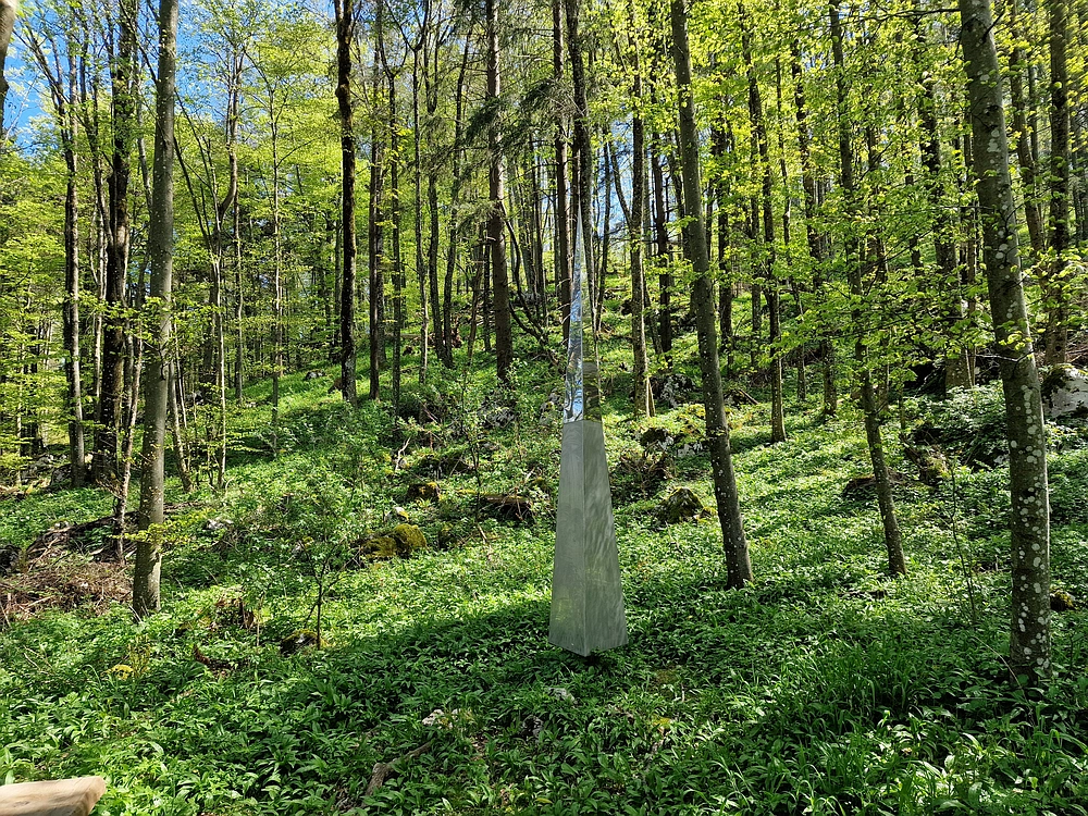 Slika je vidna v Google Chromu.