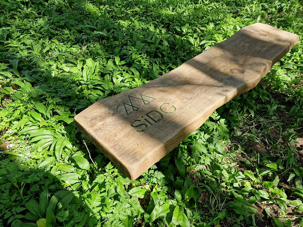 Slika je vidna v Google Chromu.