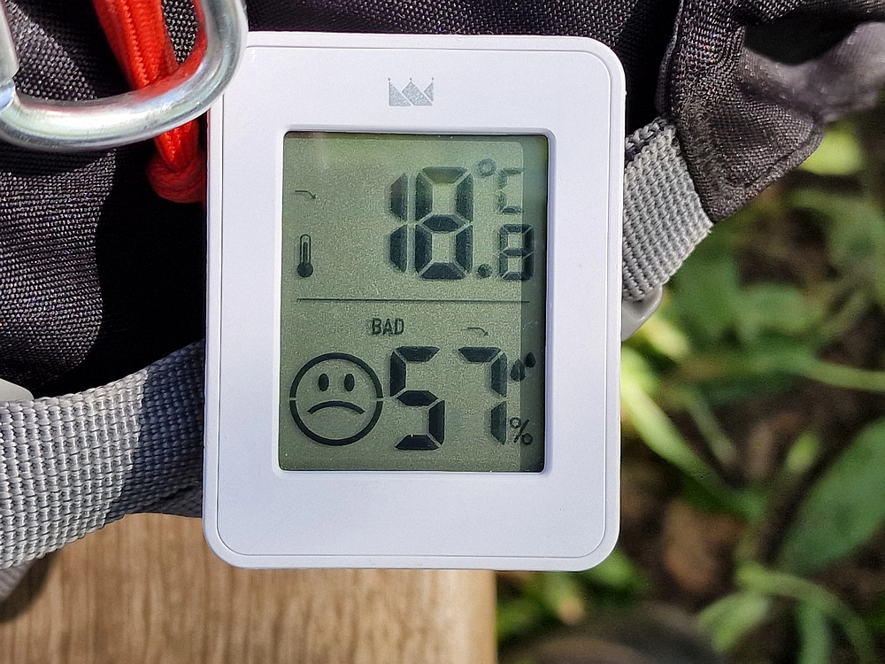 Slika je vidna v Google Chromu.