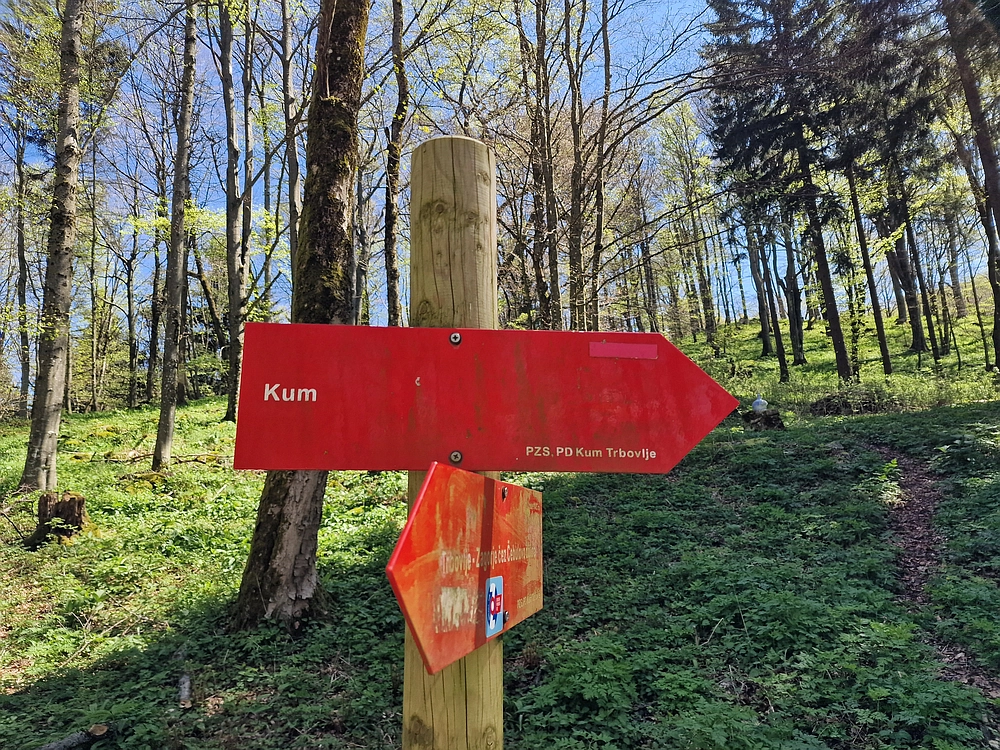 Slika je vidna v Google Chromu.