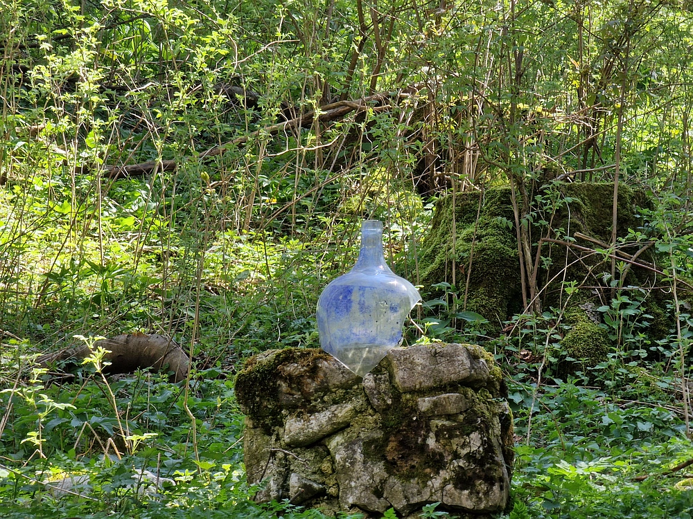 Slika je vidna v Google Chromu.