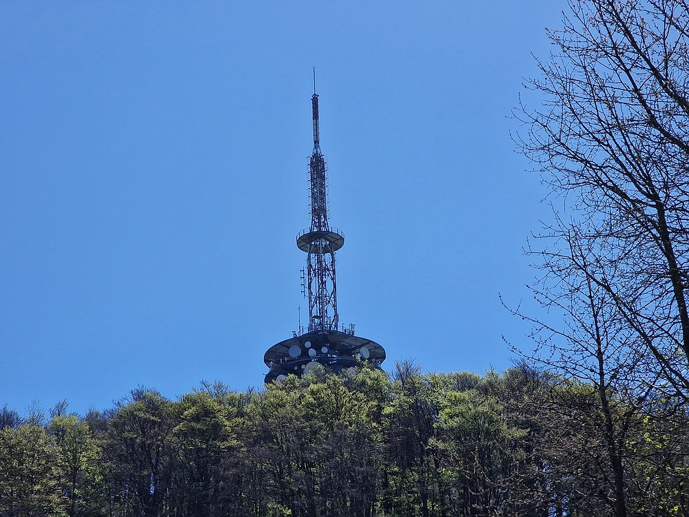 Slika je vidna v Google Chromu.